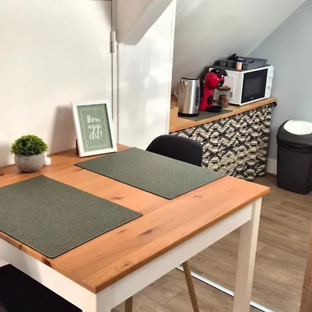 Studio Cosy 50M De La Cathedrale, Ideal Aeroport Apartment